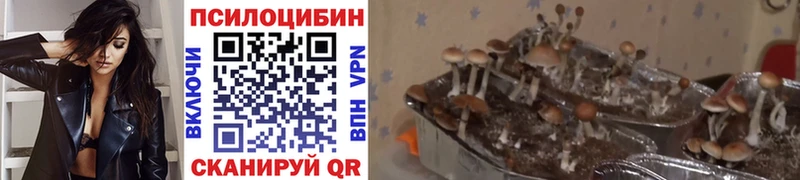 где продают наркотики  Спасск  Галлюциногенные грибы мицелий 